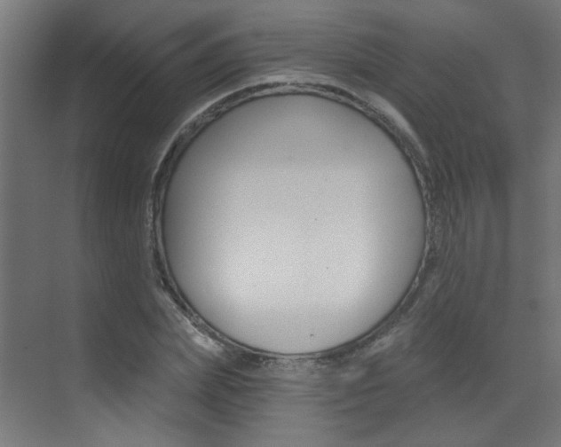 X0000073440831200607281029