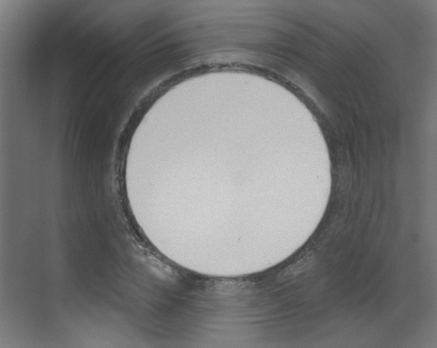 X0000073440832200607281029