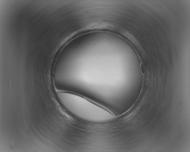 X0000073440834200607281029