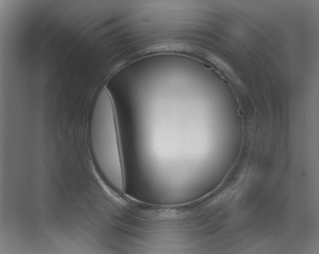 X0000073440841200607281029