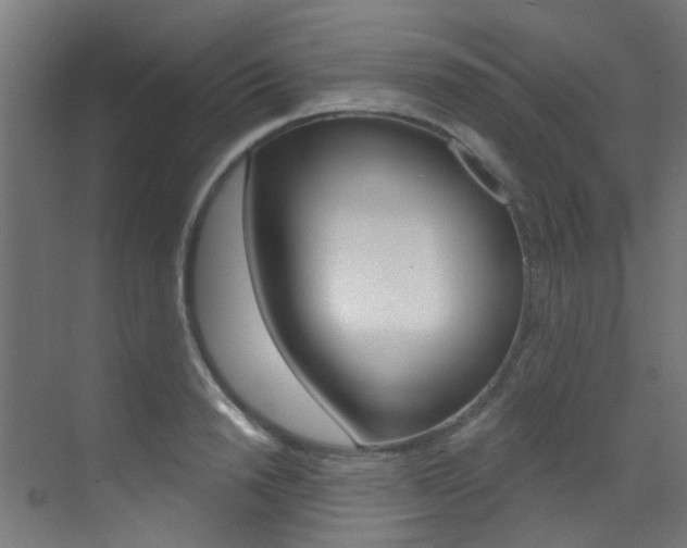 X0000073440846200607281029