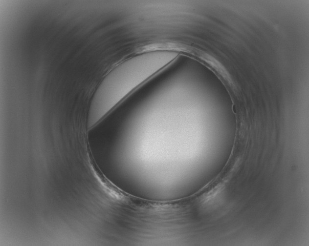 X0000073440849200607281029