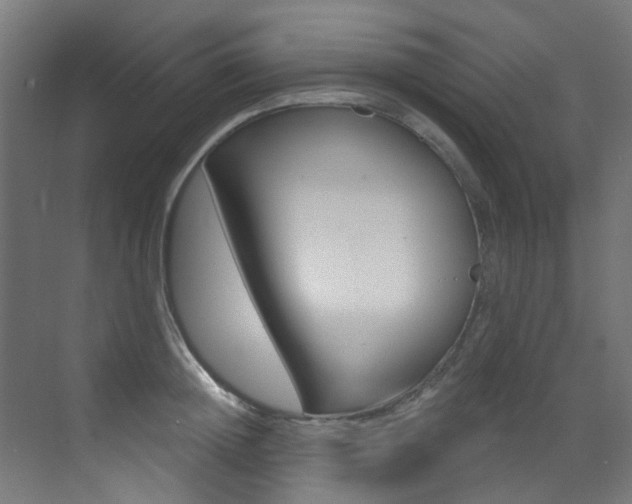X0000073440852200607281029