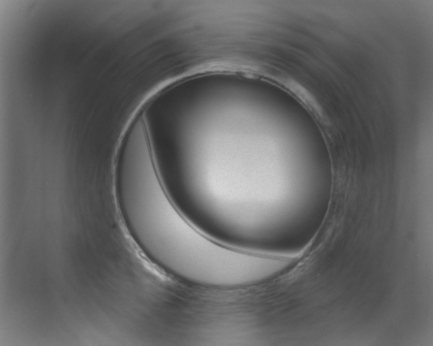 X0000073440854200607281029
