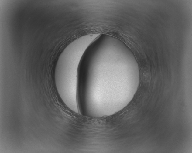 X0000073440865200607281028