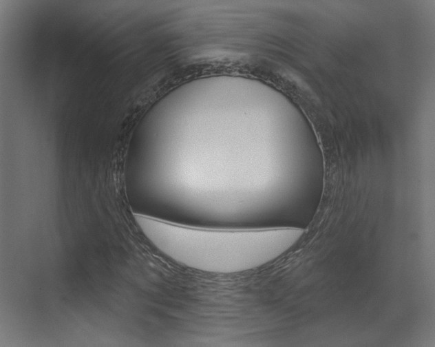 X0000073440869200607281028