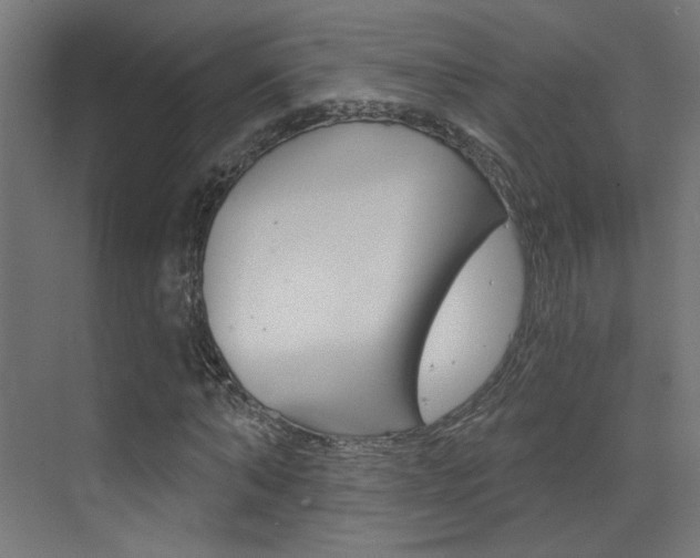 X0000073440870200607281028