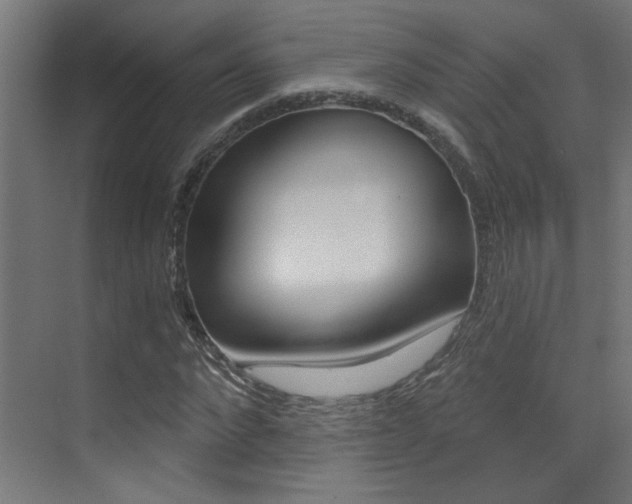 X0000073440872200607281028