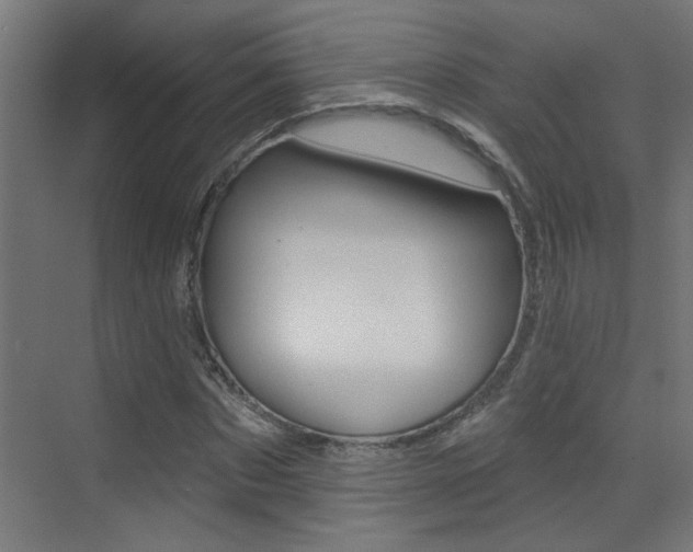 X0000073440873200607281028