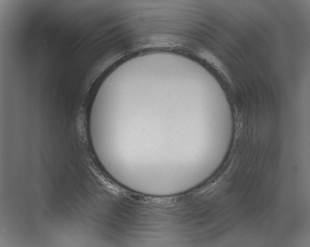 X0000073440874200607281028