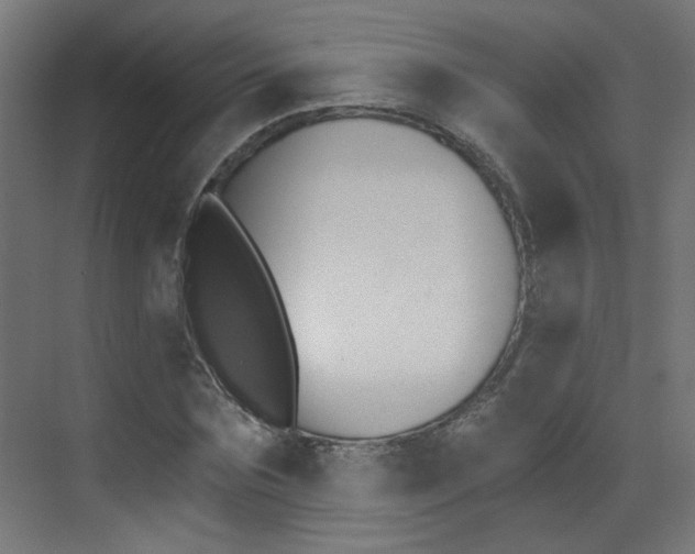 X0000073440875200607281028
