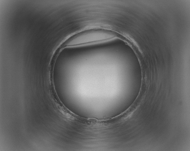 X0000073440877200607281028