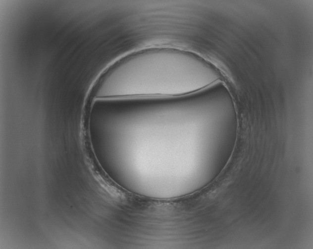 X0000073440880200607281028