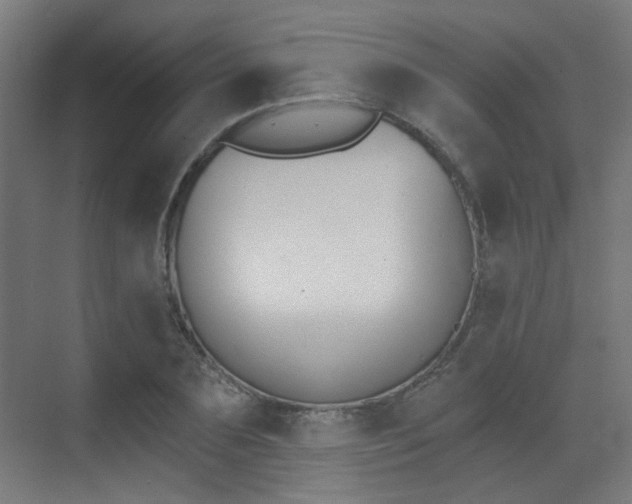 X0000073440883200607281028