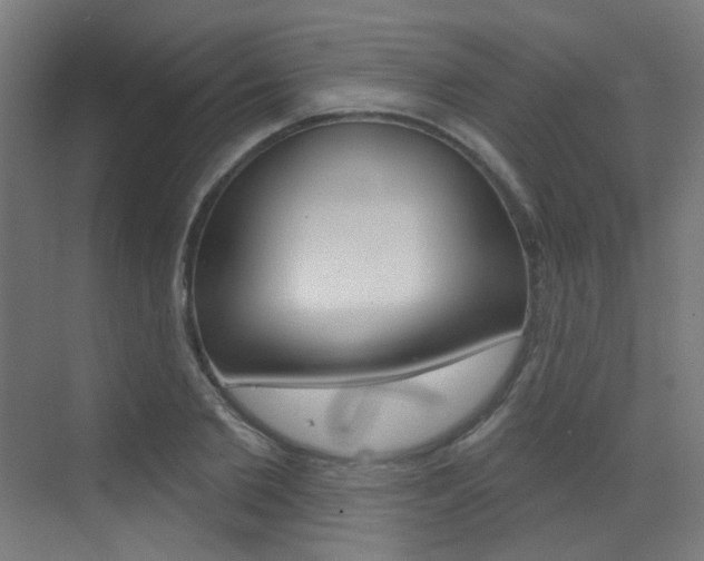 X0000073440885200607281028