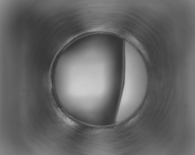 X0000073440892200607281028