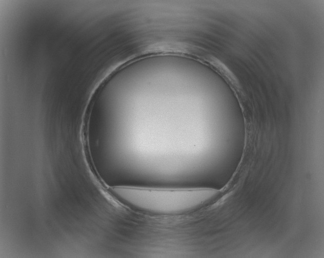 X0000073440893200607281028