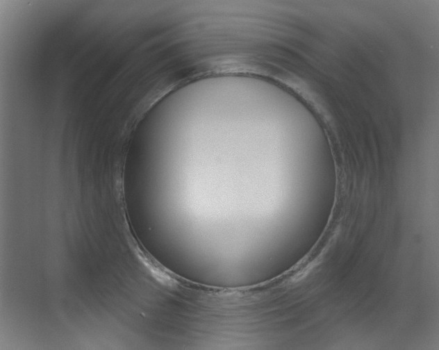 X0000073440897200607281028