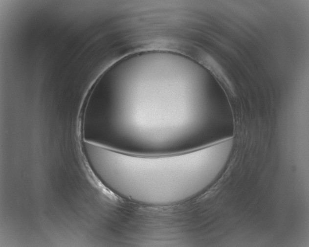 X0000073440900200607281028