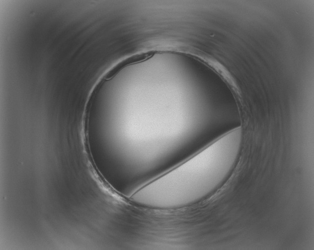 X0000073440904200607281028