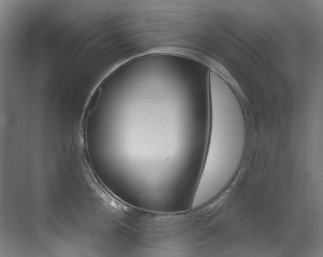 X0000073440908200607281028
