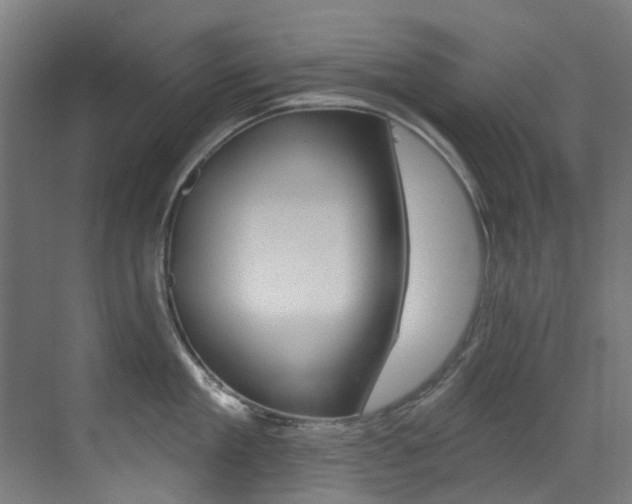 X0000073440909200607281028