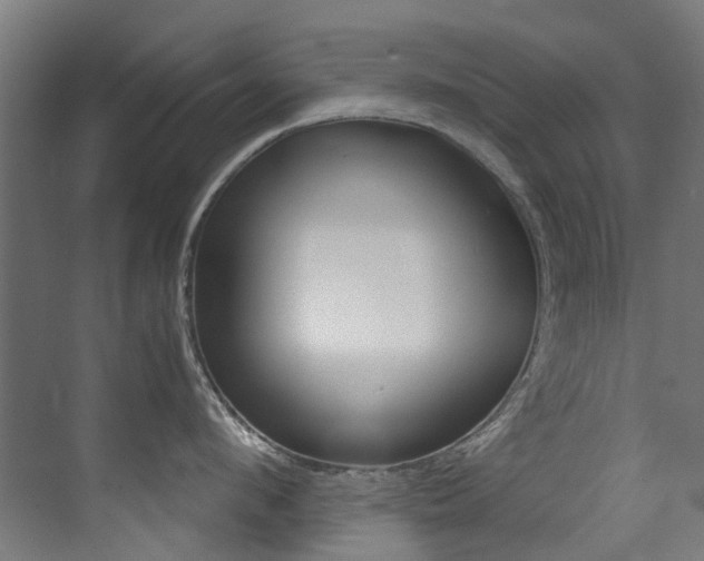 X0000073440912200607281028