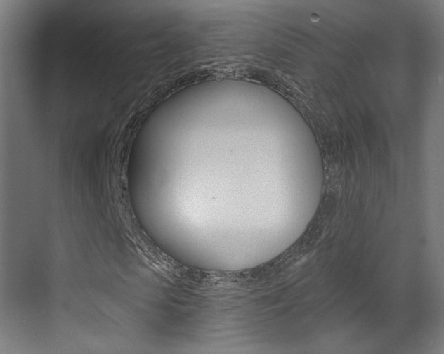 X0000073440913200607281027