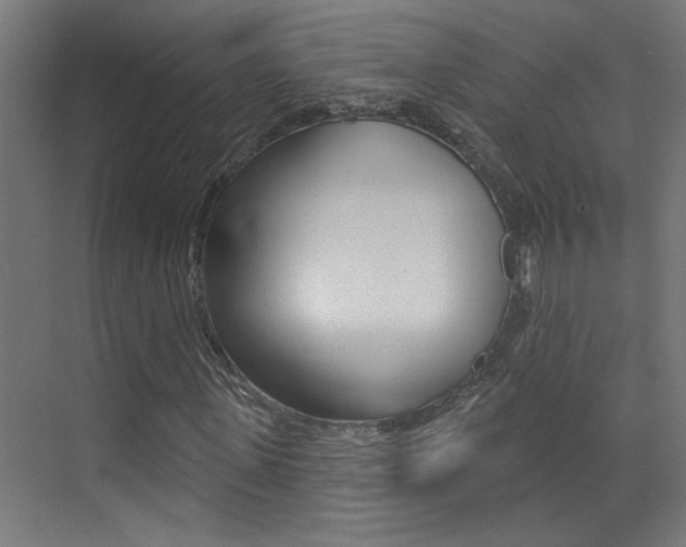 X0000073440915200607281027