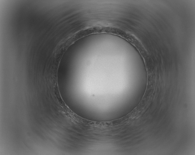 X0000073440919200607281027