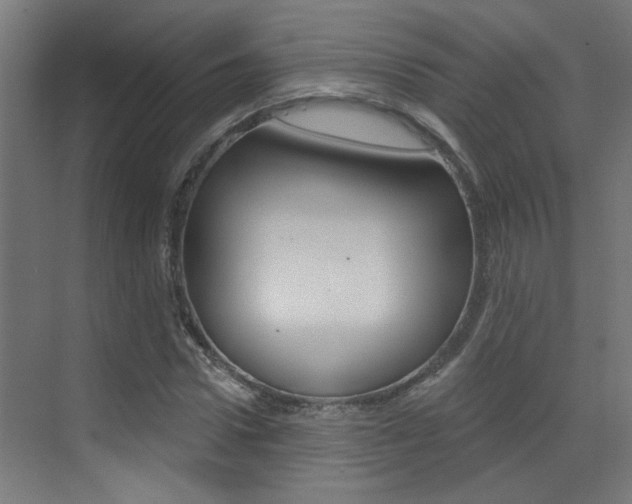 X0000073440922200607281027
