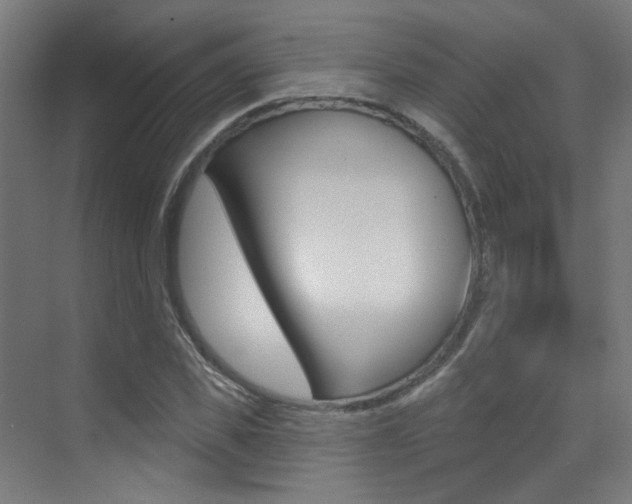 X0000073440925200607281027