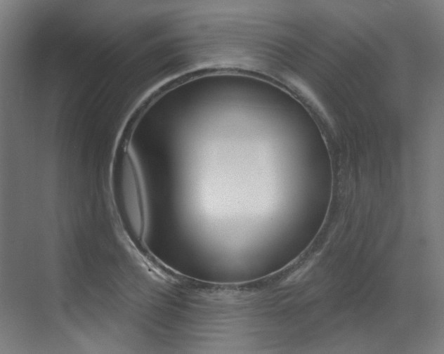 X0000073440932200607281027