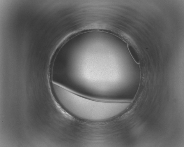 X0000073440942200607281027