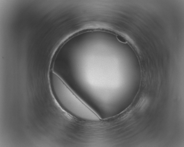 X0000073440943200607281027