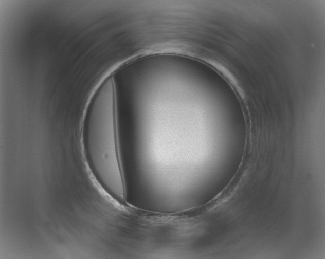 X0000073440949200607281028