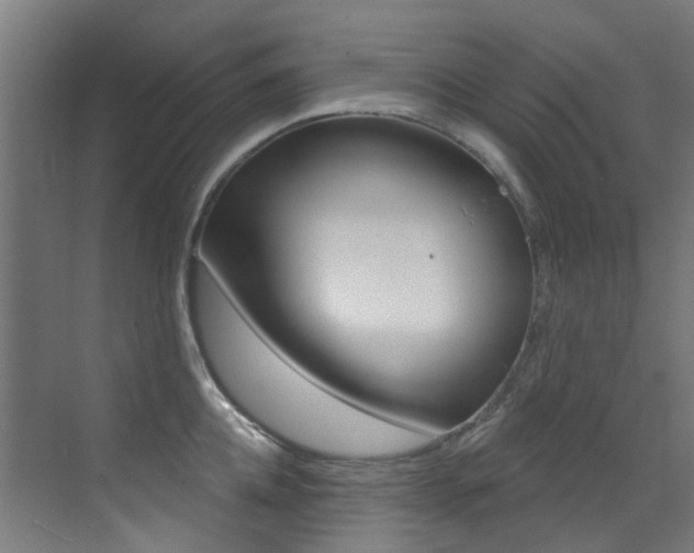 X0000073440952200607281028