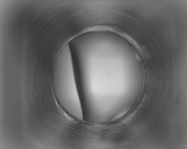 X0000073440953200607281028