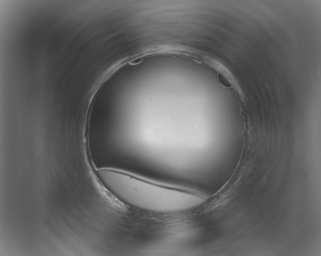 X0000073440954200607281028