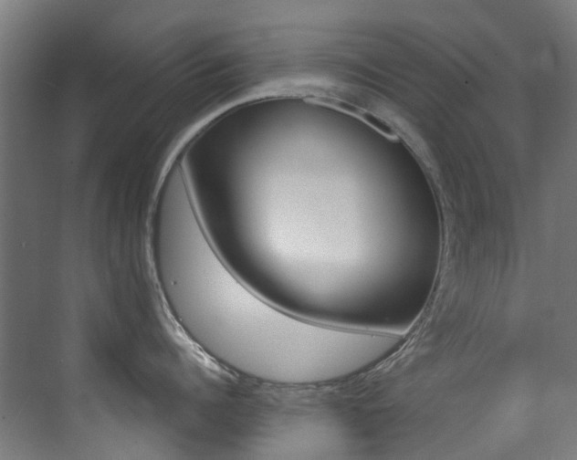 X0000073440960200607281028