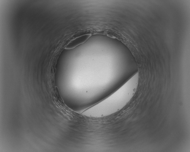 X0000073440961200607281027
