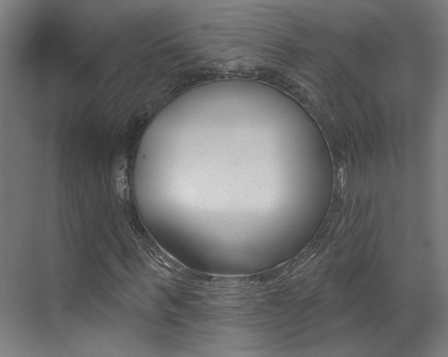 X0000073440963200607281027
