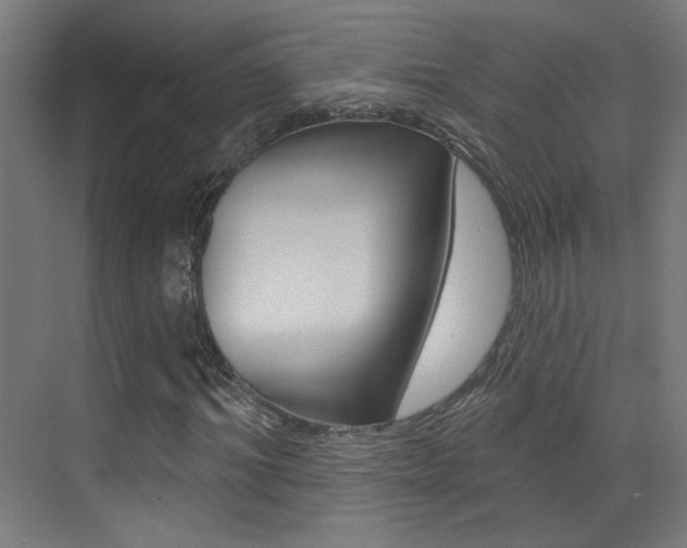 X0000073440964200607281027