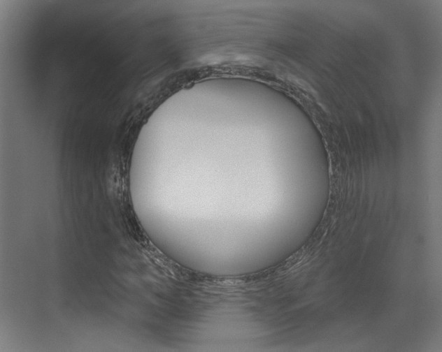 X0000073440966200607281027
