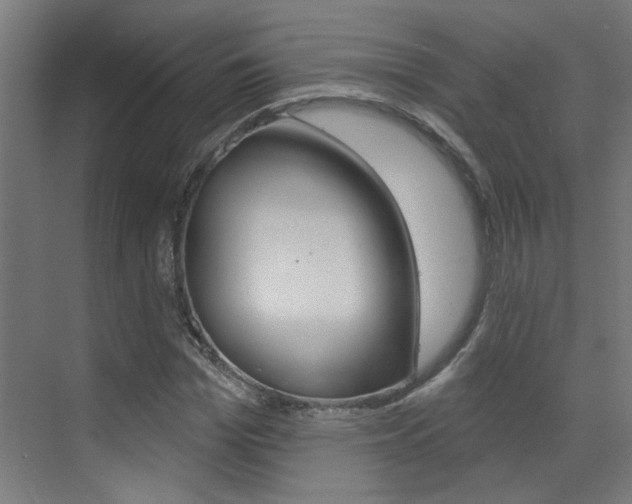 X0000073440969200607281027