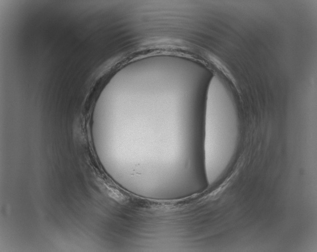 X0000073440970200607281027