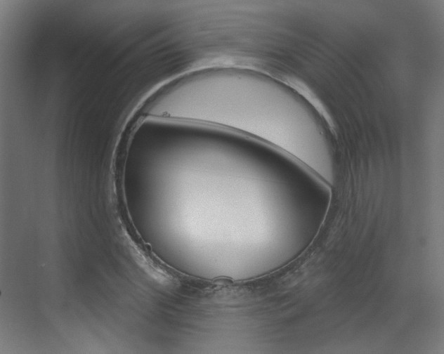 X0000073440972200607281027