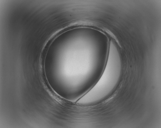X0000073440981200607281027