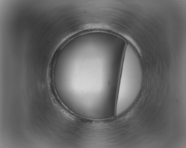 X0000073440983200607281027