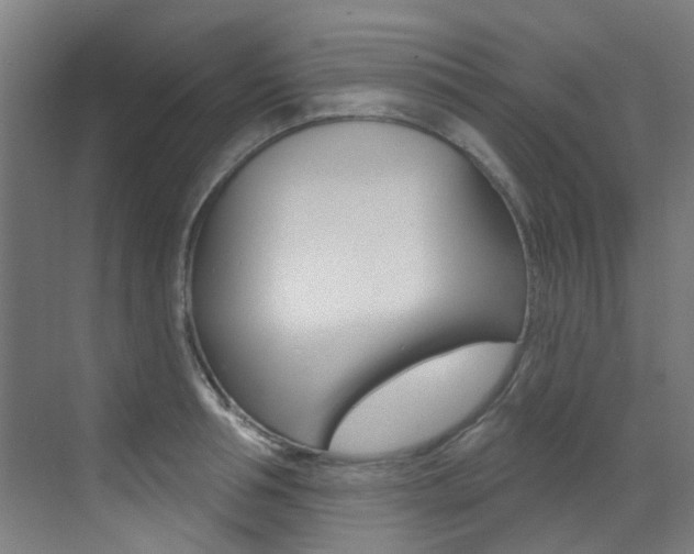 X0000073440994200607281026